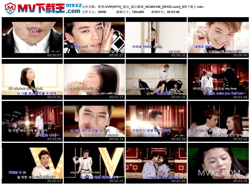 胜利-VVIP(MTV)_韩语_流行歌曲_MC403149